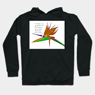 Think Positive Hoodie